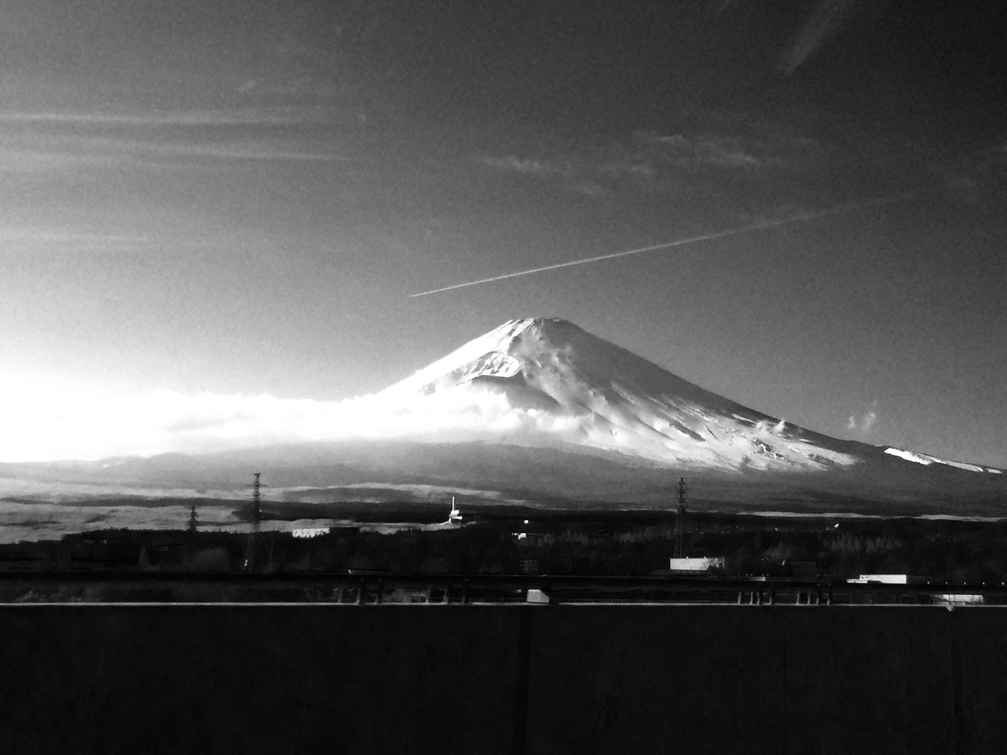 河津桜と富士山