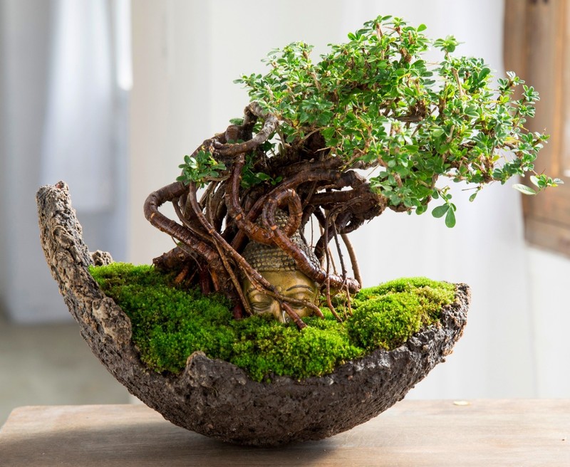 クリスマスなのに・・・なぜ？