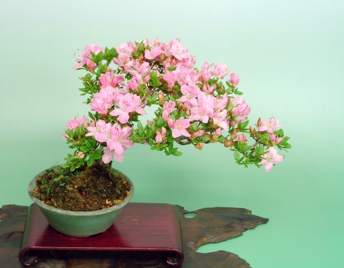 クリスマスなのに・・・なぜ？