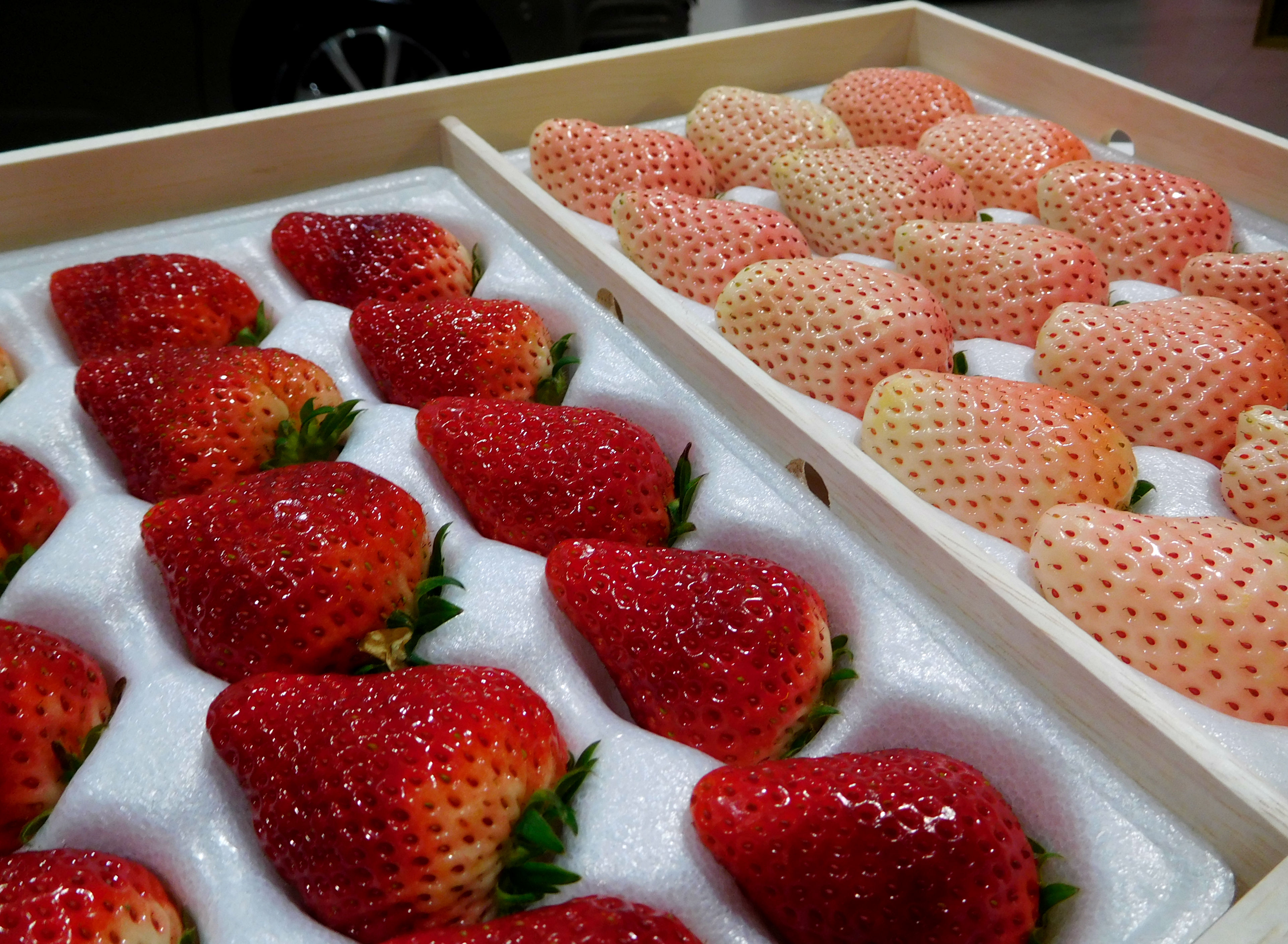 素敵なお祝いを頂きました！