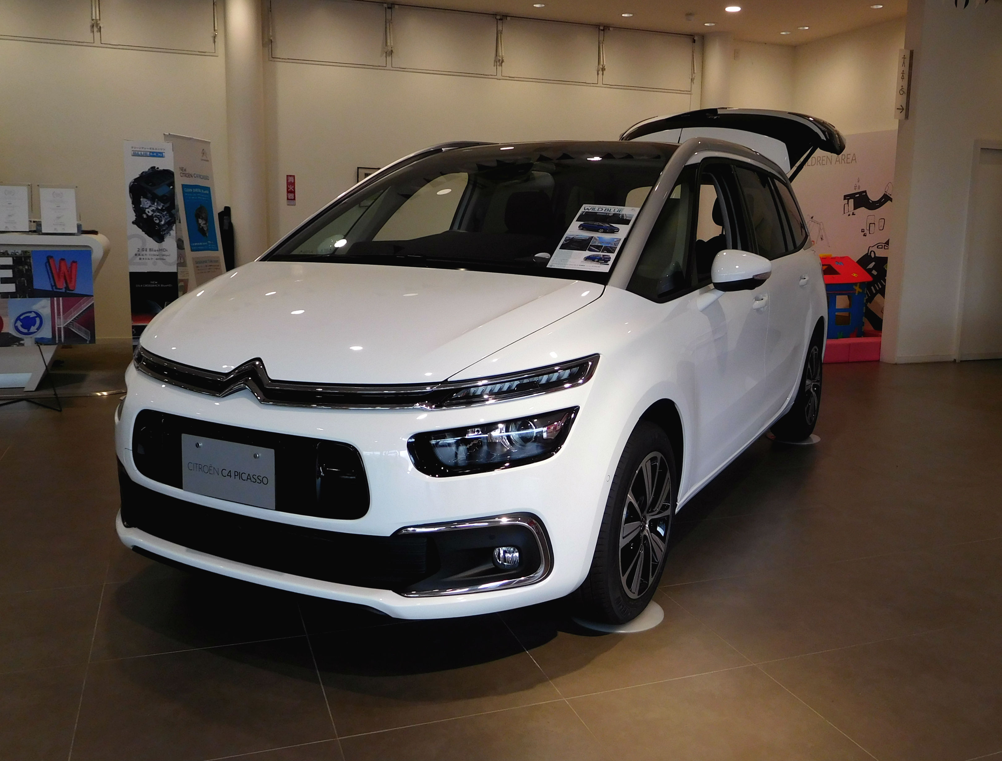 Wild Blue DEBUT FAIR