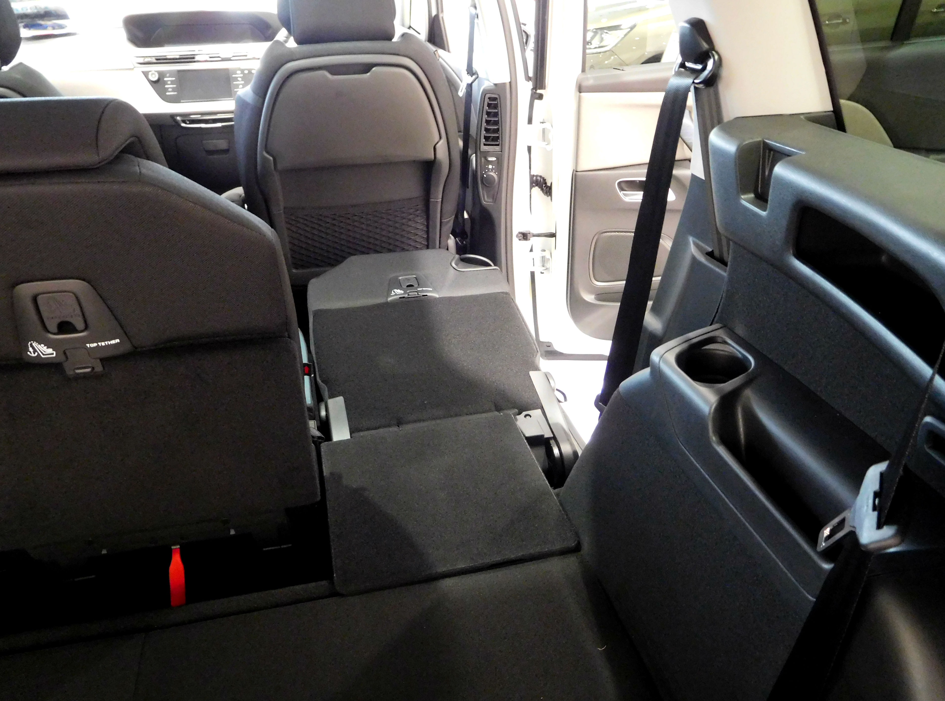 Wild Blue DEBUT FAIR