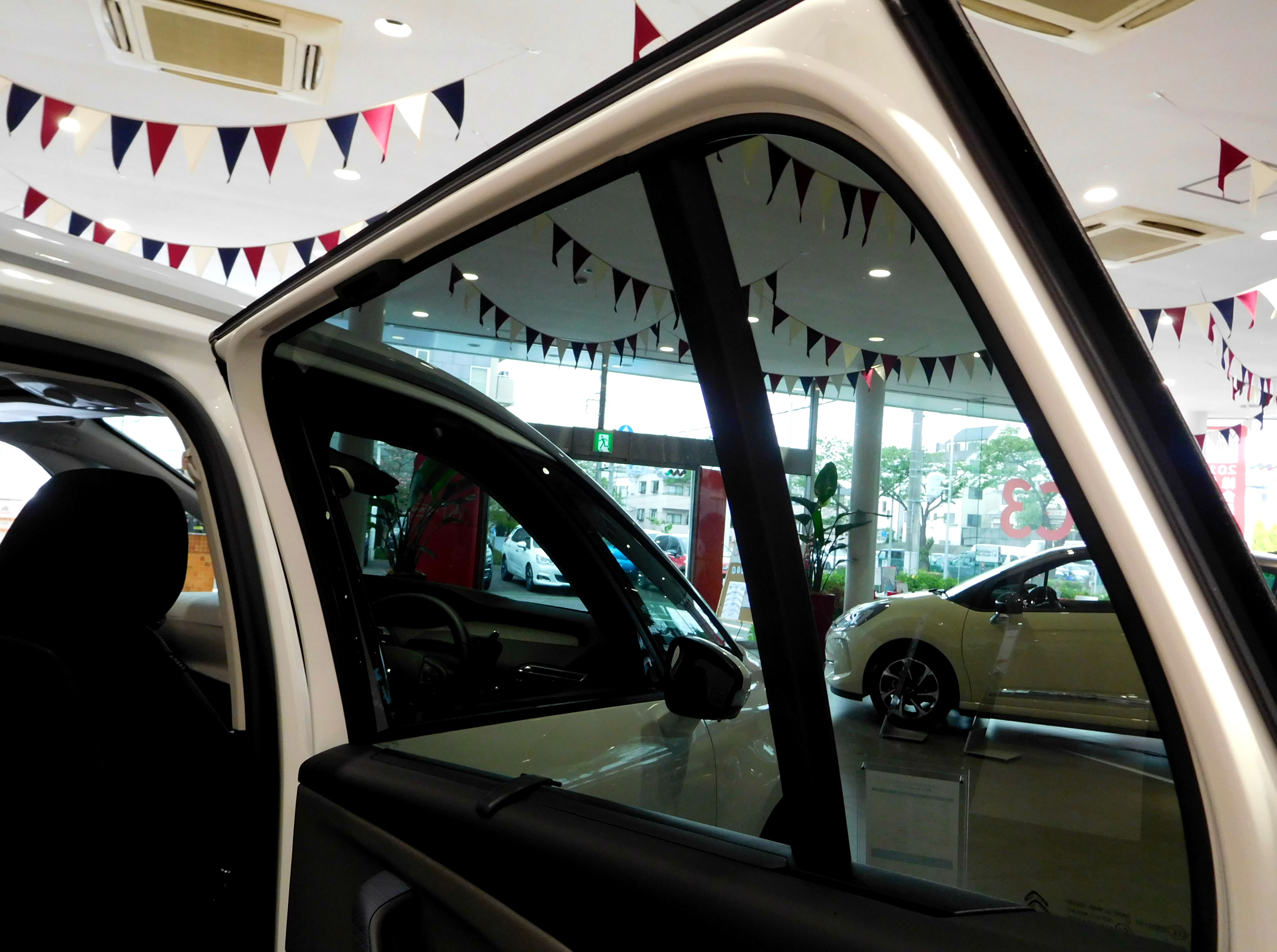 Wild Blue DEBUT FAIR