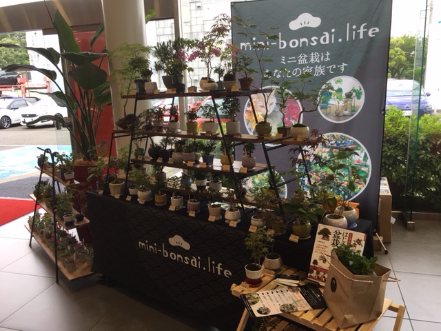 フランスデー！