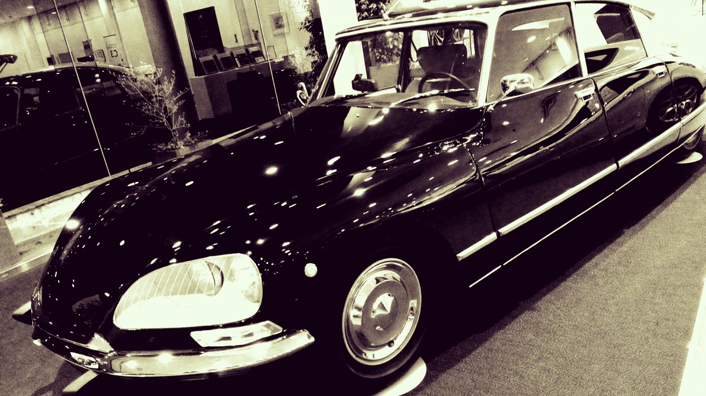 サンパチェンス、ローズ