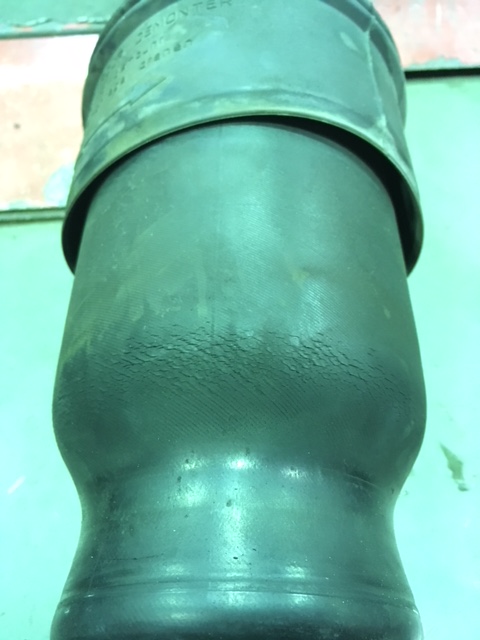 ｴｱｻｽにﾋﾋﾞあり！