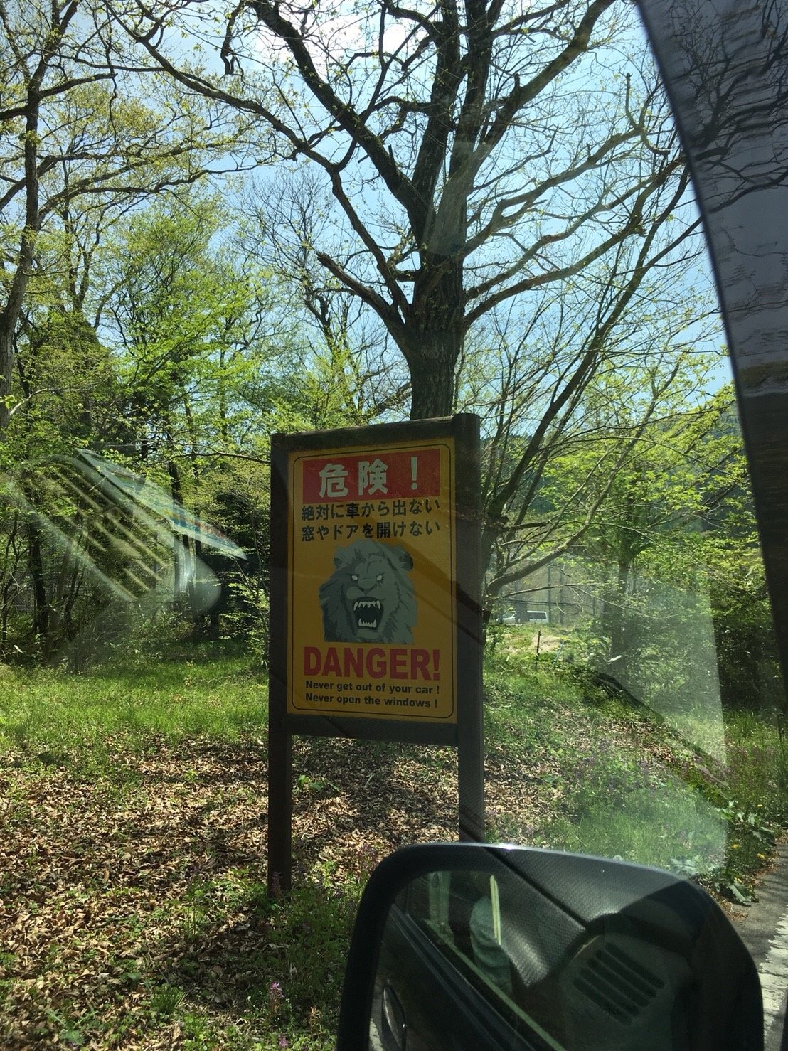 富◯サファリパーク！