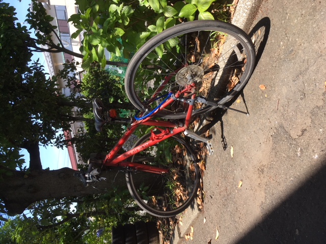 サイクリング通勤！