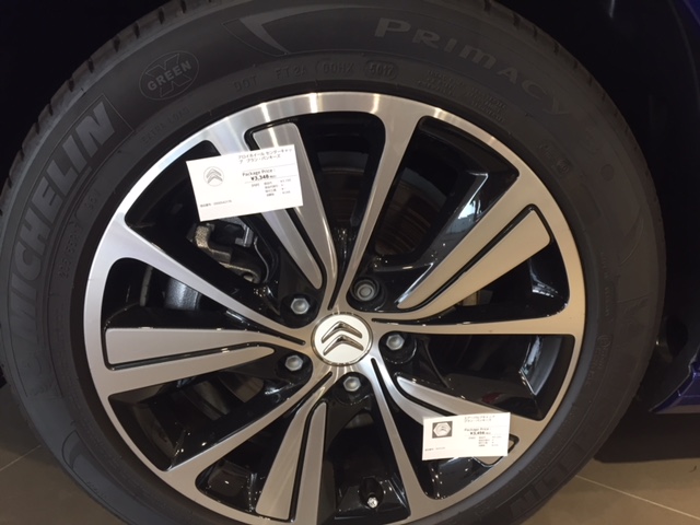 夏のレジャーはPICASSOで決まり ！引き続き展示中です！