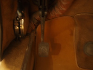 ショールームのＤＳは・・・