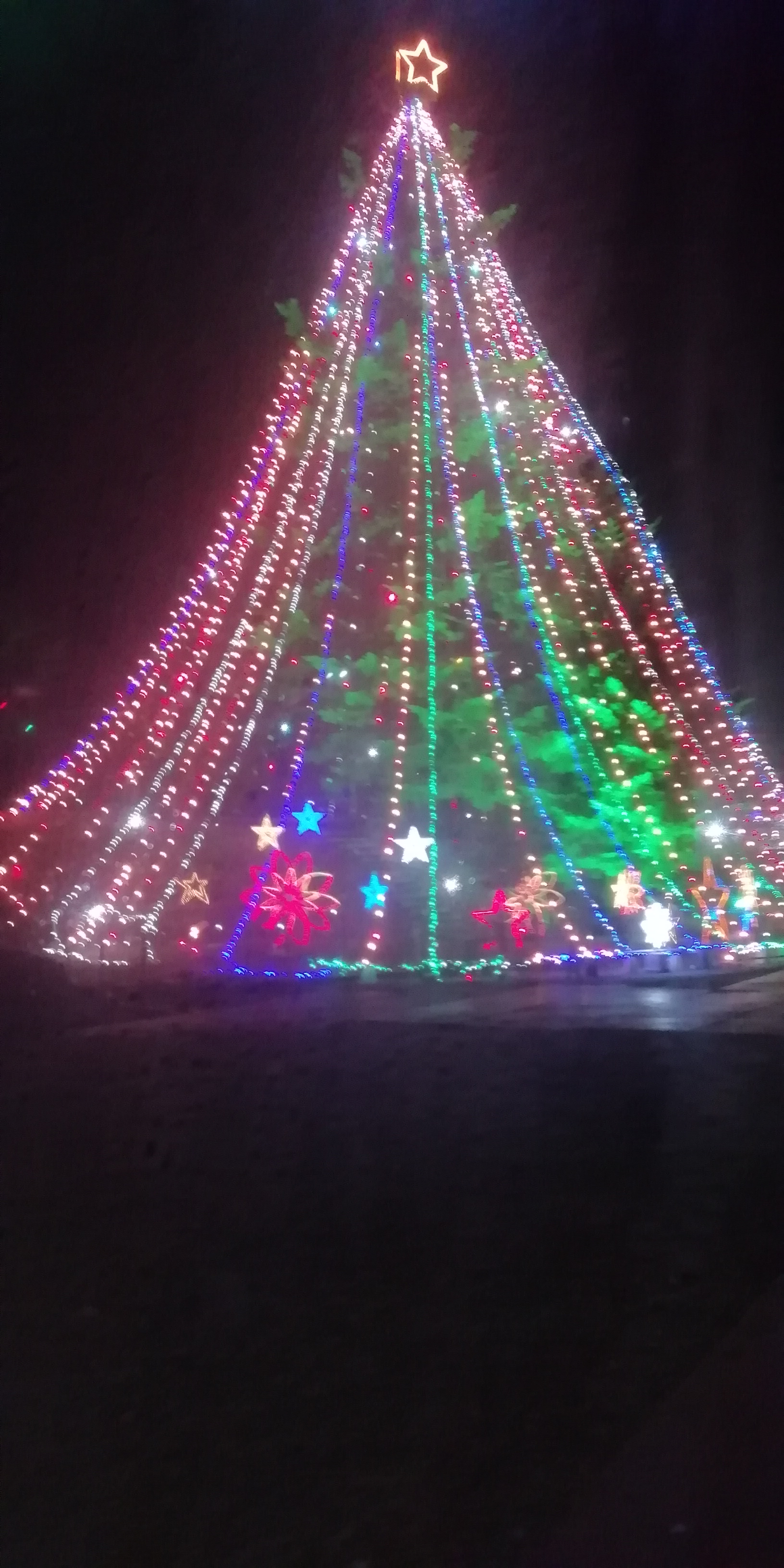 数年ぶりに宮ヶ瀬ダムへ！