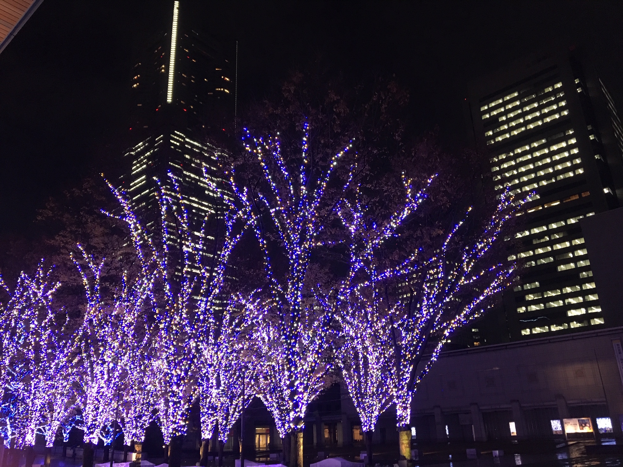 浮かれた街並みですね～