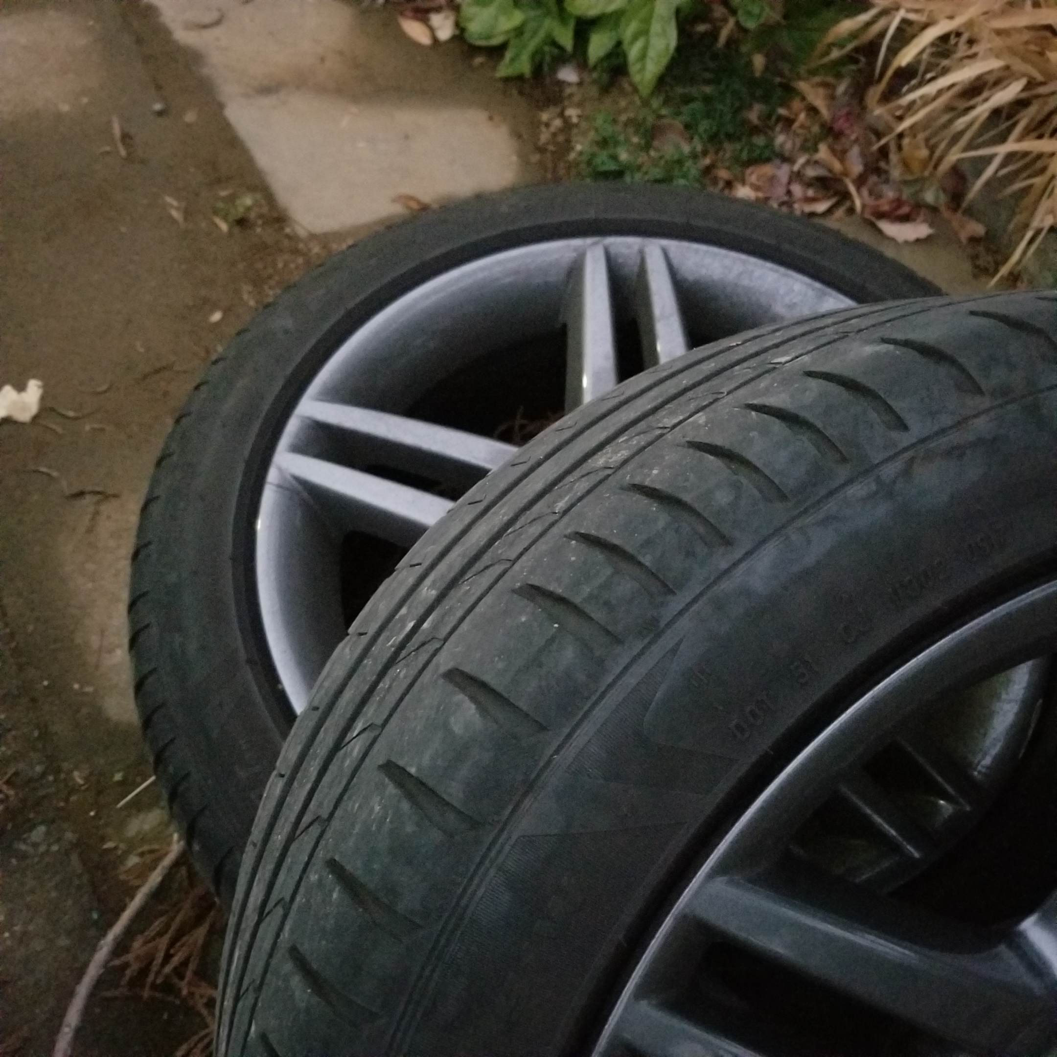 ｽﾀｯﾄﾞﾚｽ履き替え