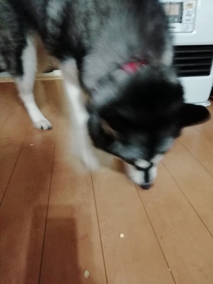 本日は節分ですね。