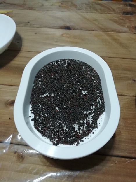 赤キャベツ無事に収穫いたしました。