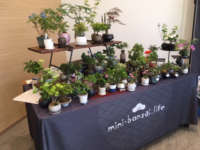 リニューアルオープンイベント開催中！