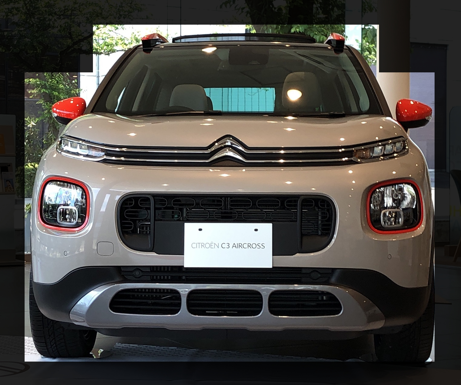 クビレなんかが気になるお年頃？