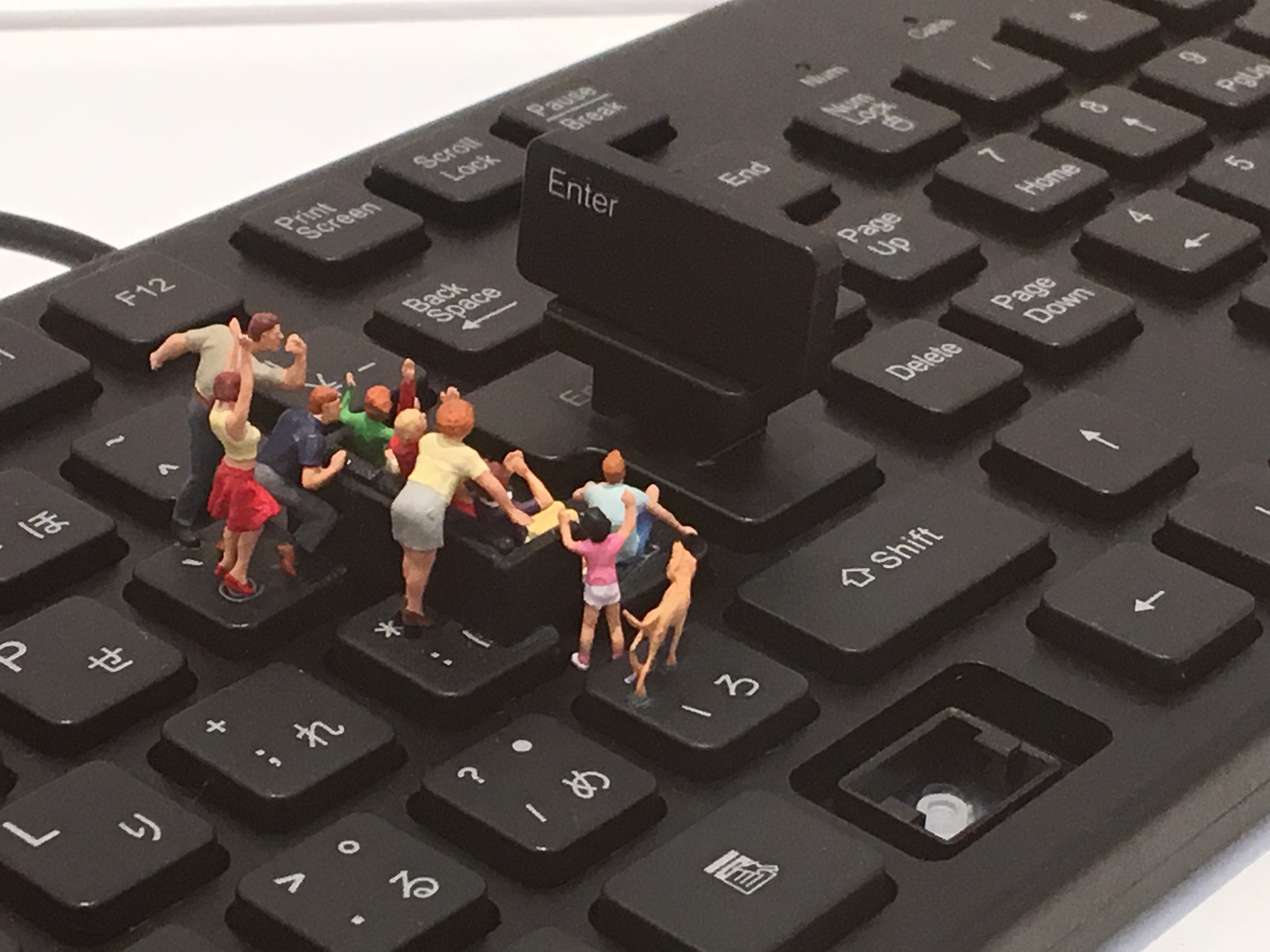 ミニミニ見に行ってきました！