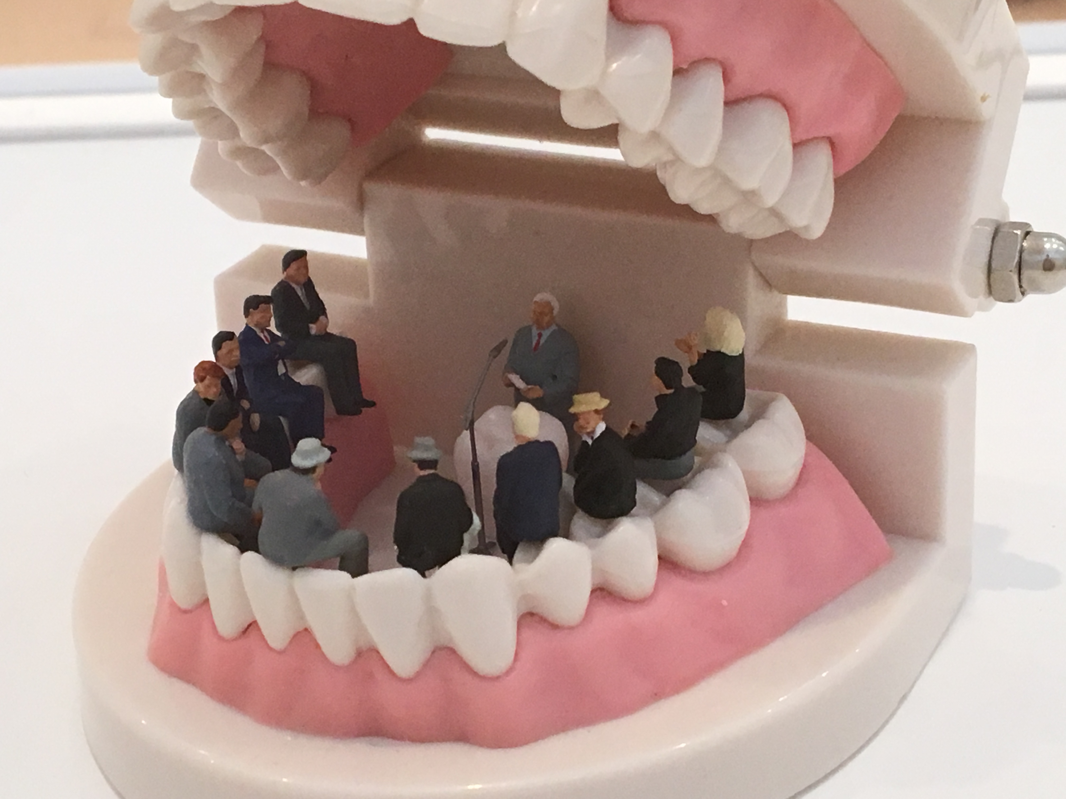 ミニミニ見に行ってきました！