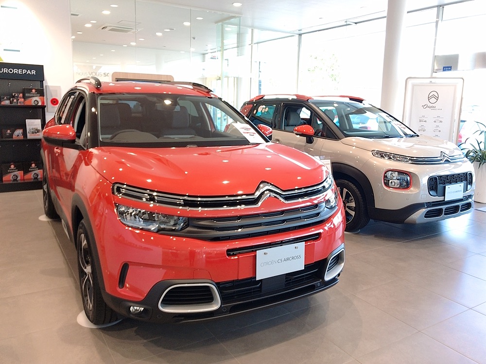 圧倒的な存在感！