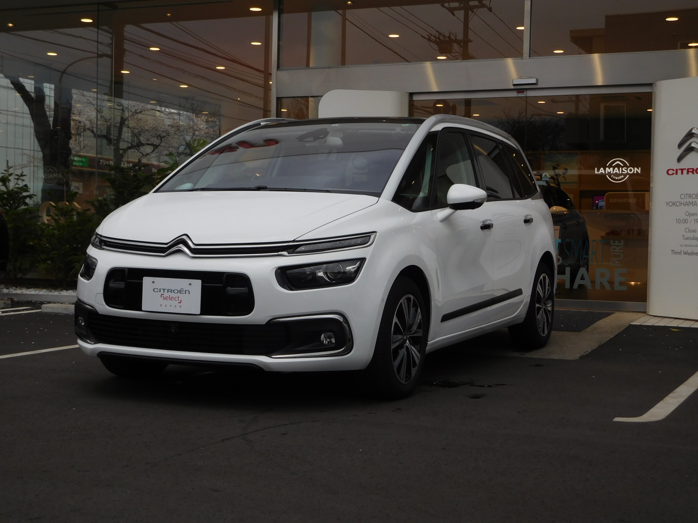 新入荷のお知らせ