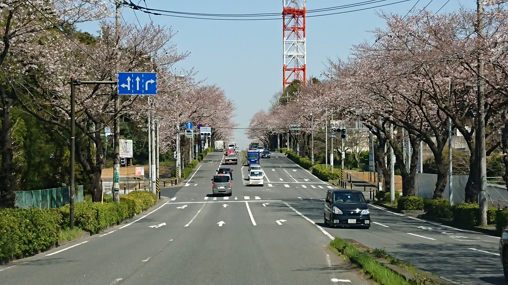 続・オススメ　C3エアクロス