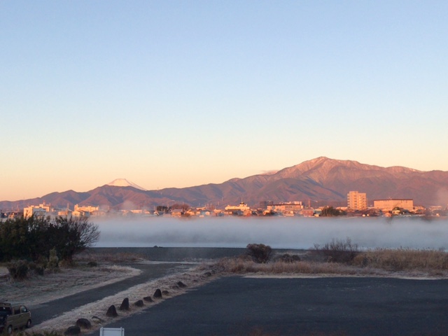 相模川の様子が