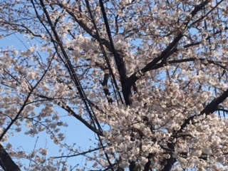 ブティックの商品案内６