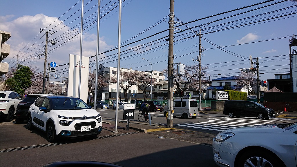 春の試乗は横浜緑