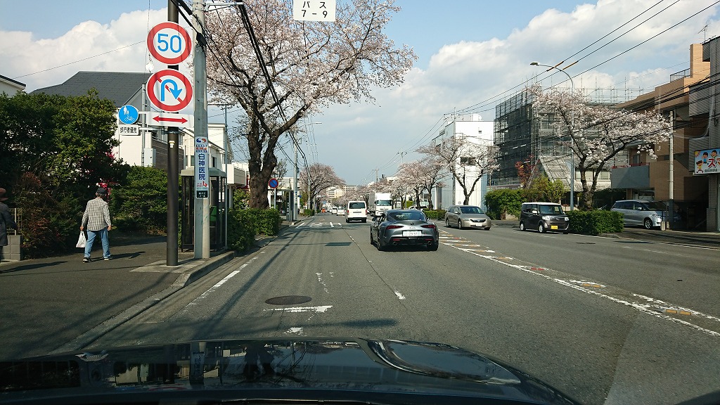 春の試乗は横浜緑