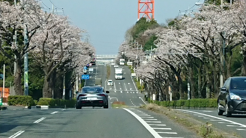 春の試乗は横浜緑
