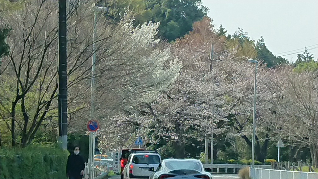 春の試乗は横浜緑