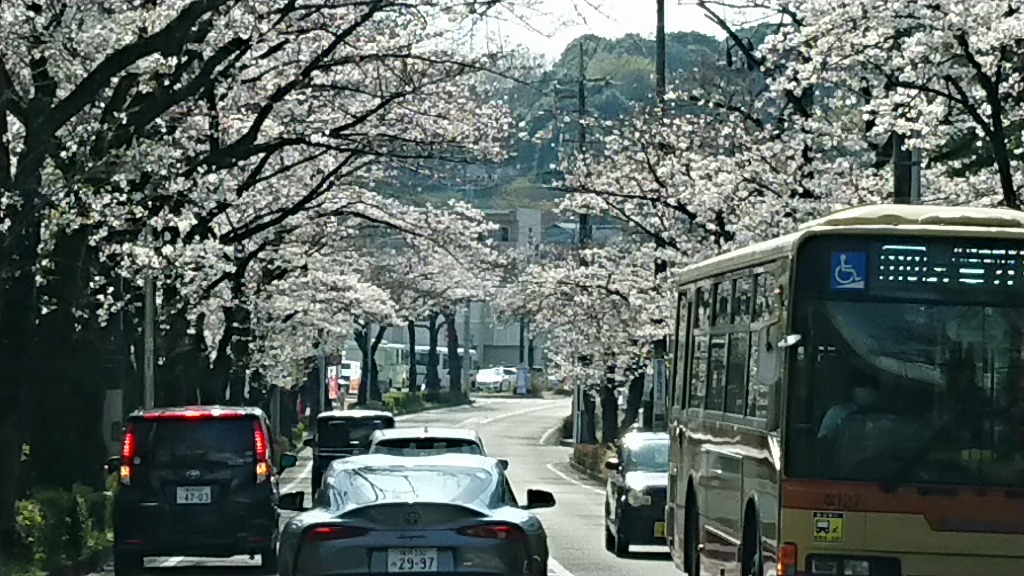 春の試乗は横浜緑