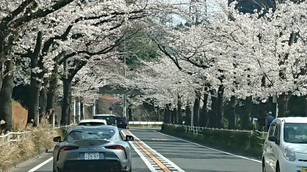 春の試乗は横浜緑