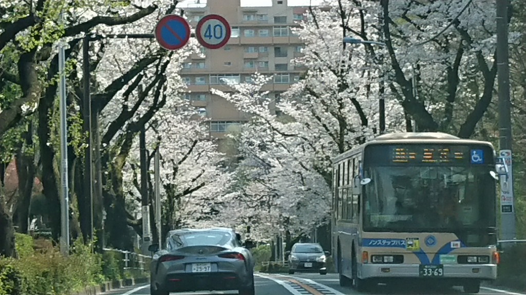 春の試乗は横浜緑
