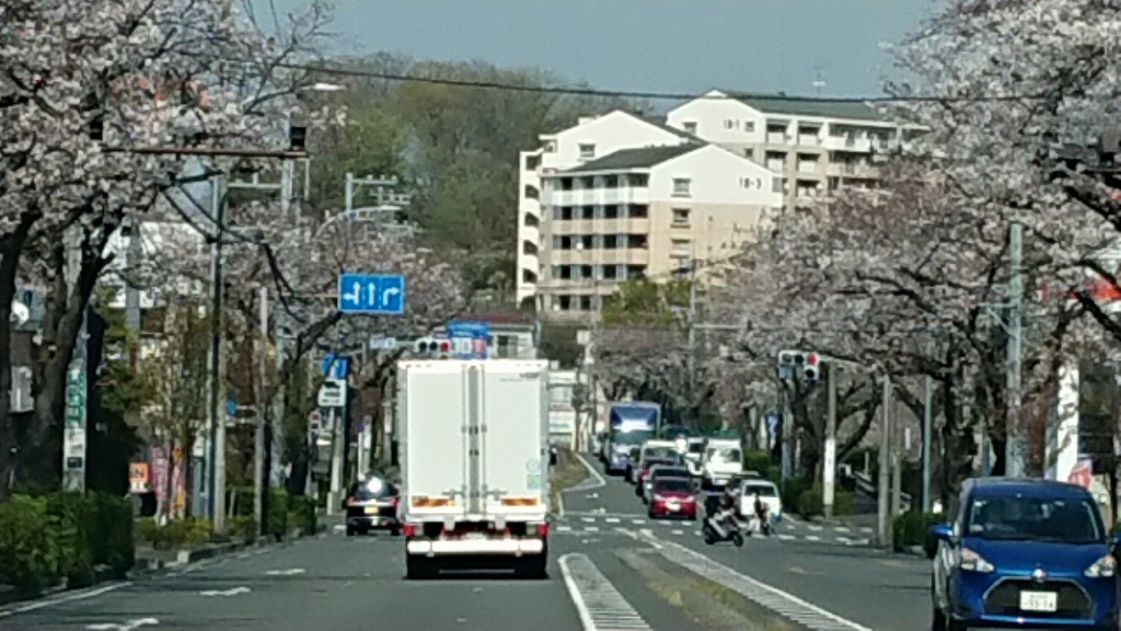 春の試乗は横浜緑