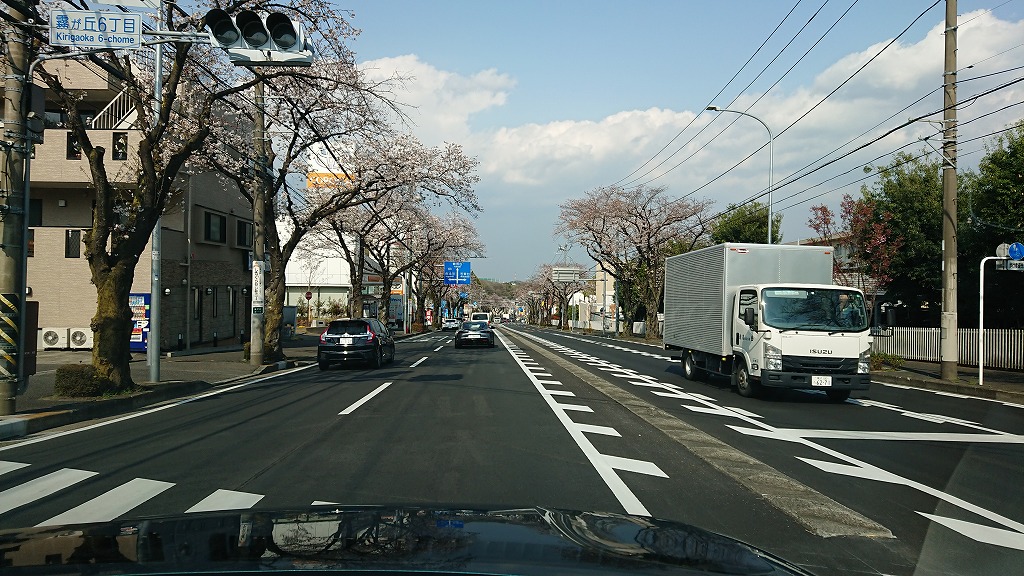 春の試乗は横浜緑