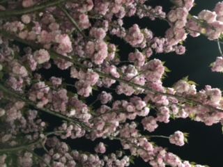 ブティックの商品案内8