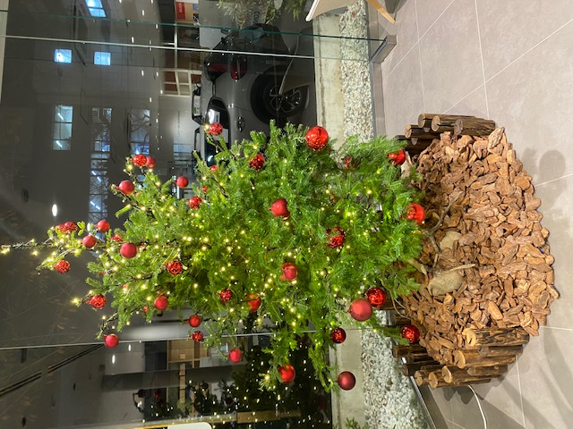 今年もこの時期が訪れました(^^♪