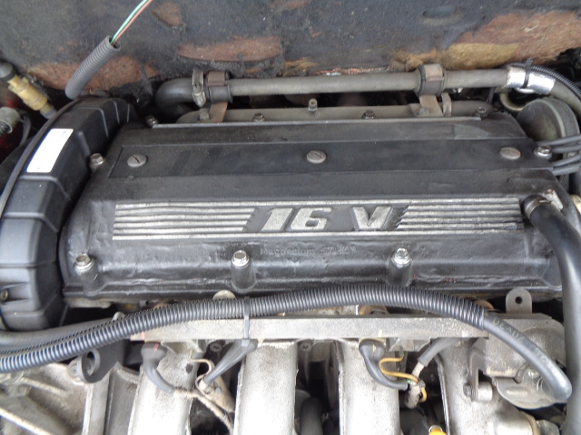 マグネシウムですよ！