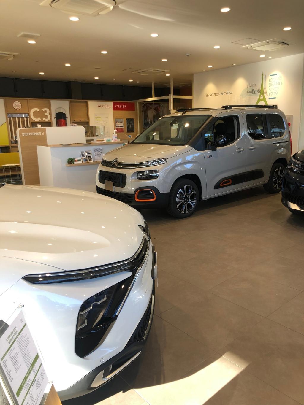 人気者が揃ってます。