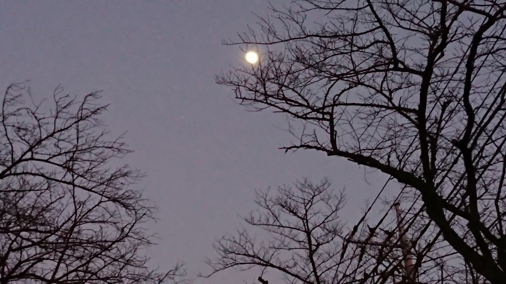 本年もよろしくお願いします