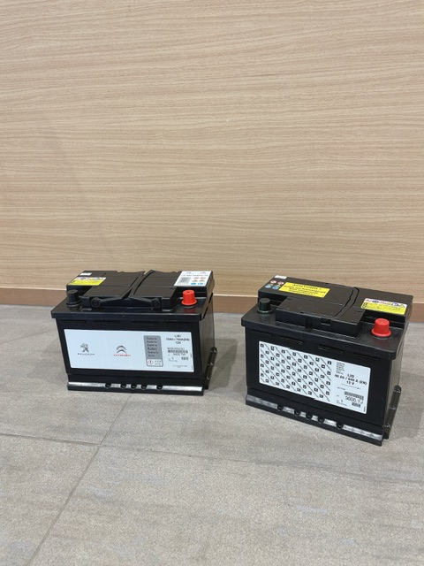 新年キャンペーン🎍