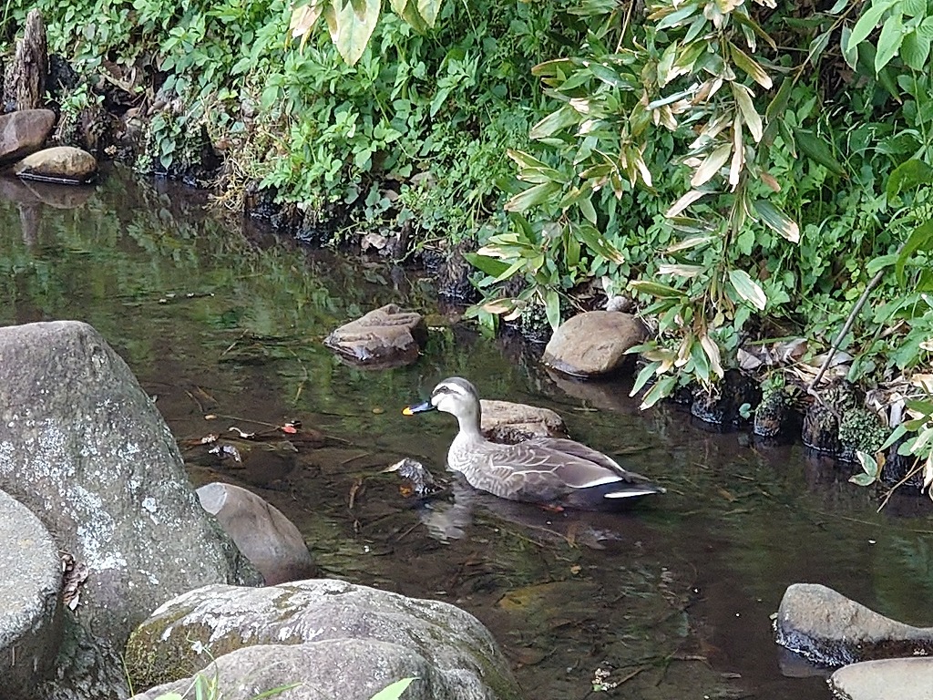 エクステリアデザイン