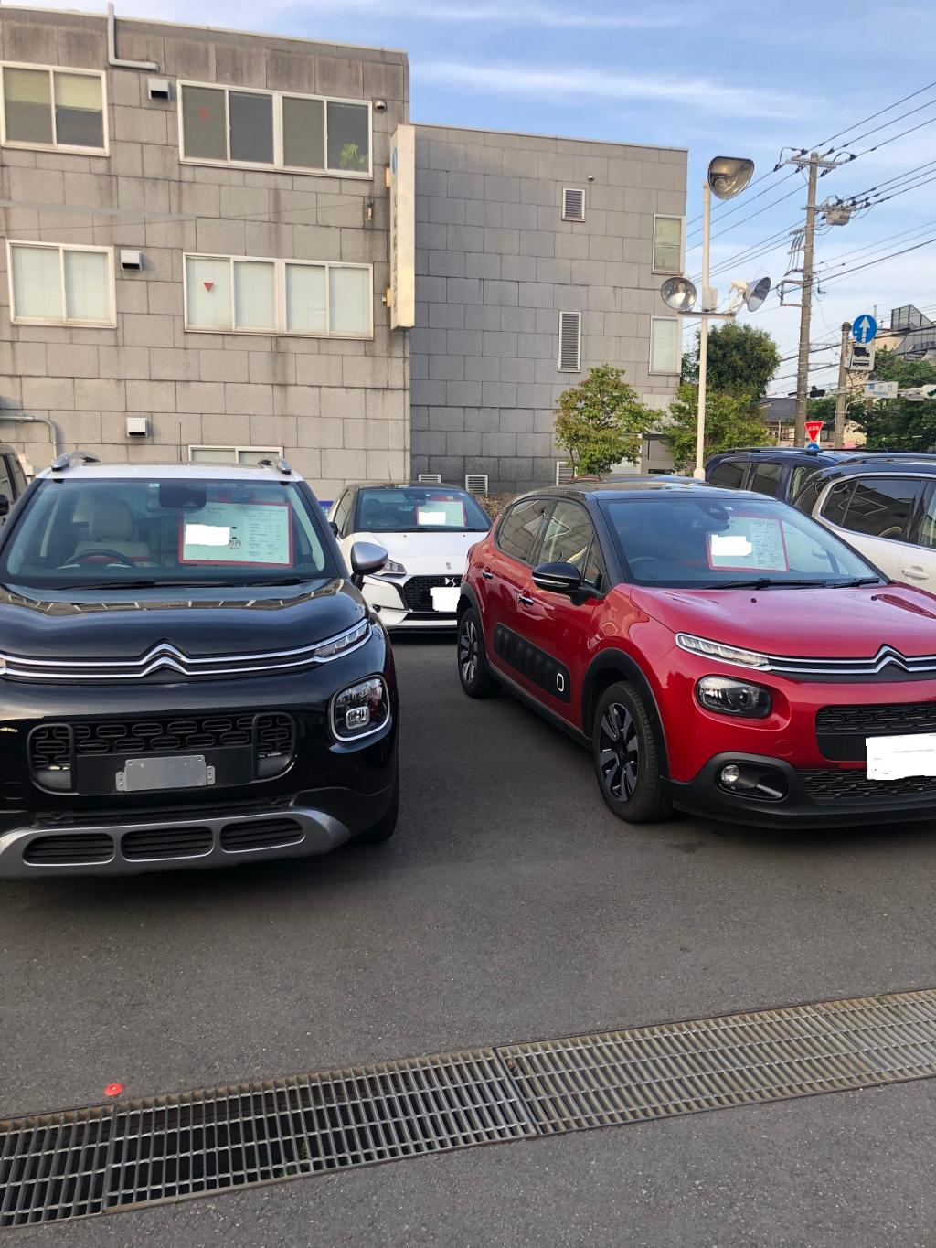 かつて無い中古車展示量でございます。