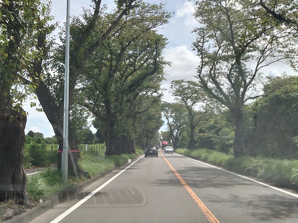 インテリアデザイン