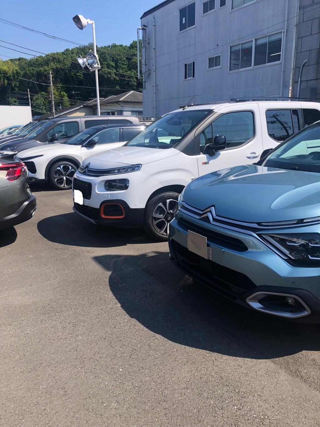 涼しげなカラーはいかが？