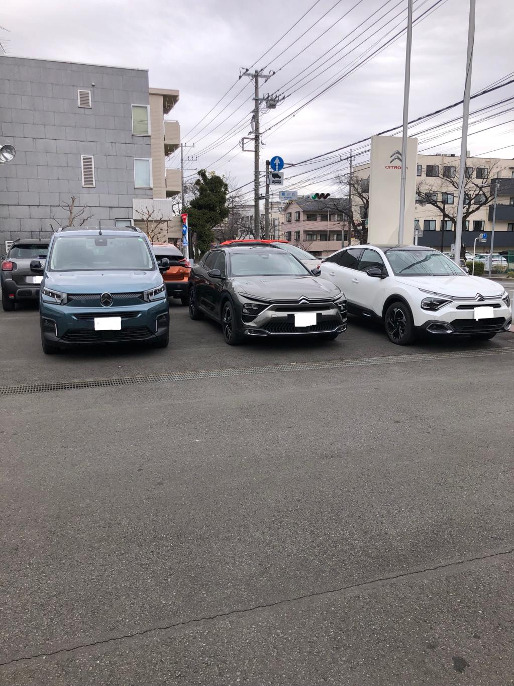 花形勢揃い！まだまだございます！