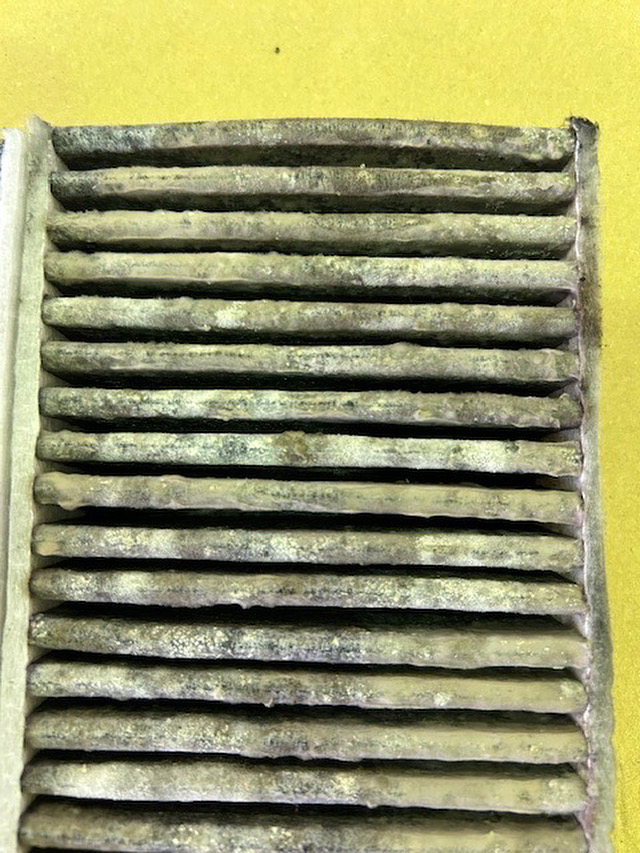 ポーレンフィルターの汚れ