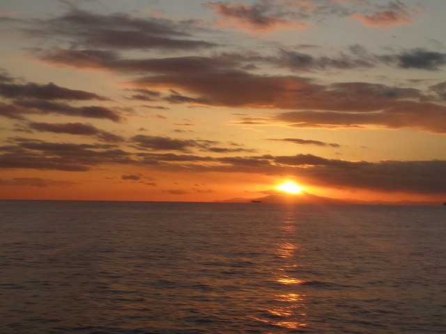 ユーザーズヴォイス